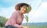 Nữ cử nhân về quê làm giàu từ mô hình nông nghiệp sạch