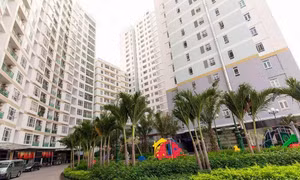 TPHCM xem xét cấp sổ cho người mua ô đậu xe ô tô ở chung cư 