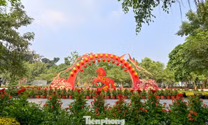 Tận thấy công viên đầu tiên được xây trên 'đất vàng' bỏ hoang ở TPHCM