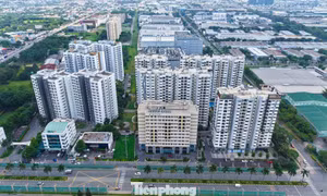 Chung cư có phải là tiêu sản?