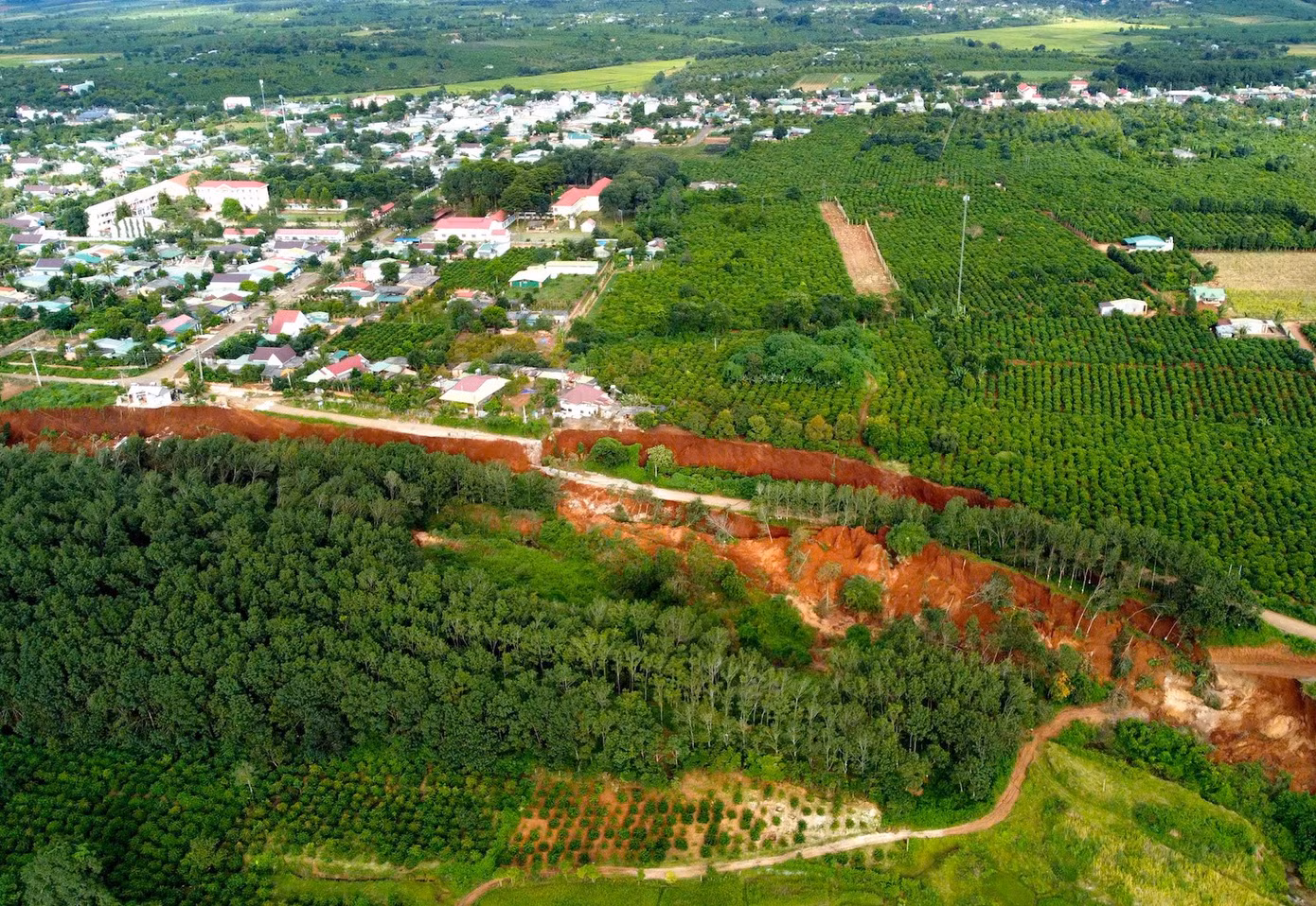 tien-phong.jpg