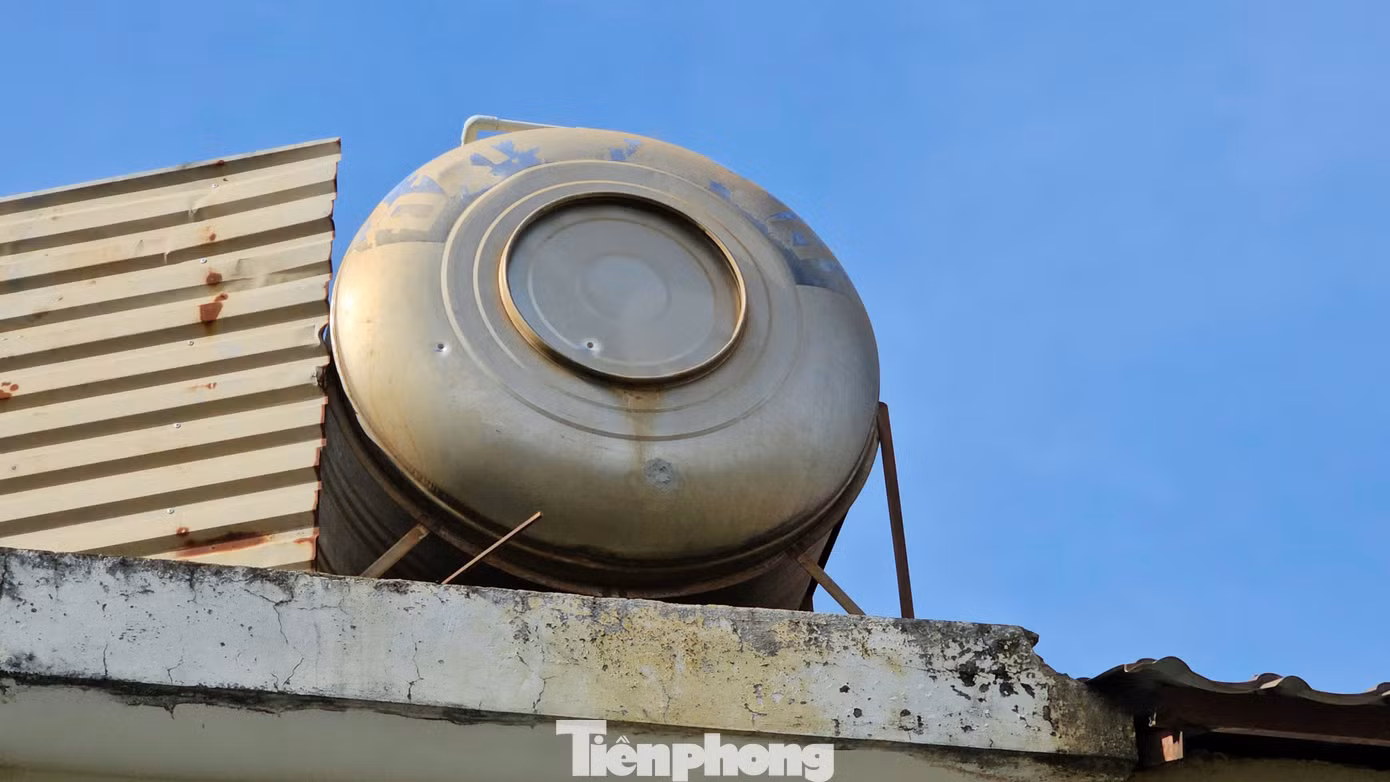 tp-145.jpg