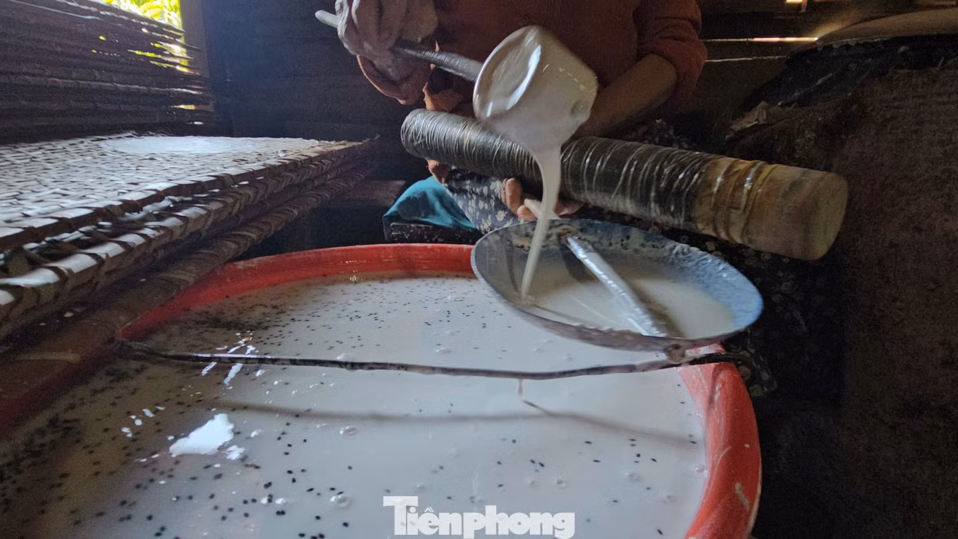 tp-3.jpg