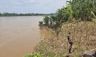 đường bê tông ngõ xóm, tường rào bị nứt.