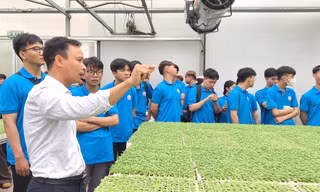 Bài 2: Khi giảng đường bước ra ngoài bốn bức tường