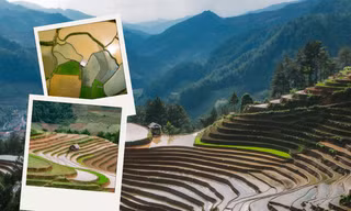 Mù Cang Chải mùa nước đổ: Ruộng bậc thang hóa bức tranh ánh gương lấp lánh