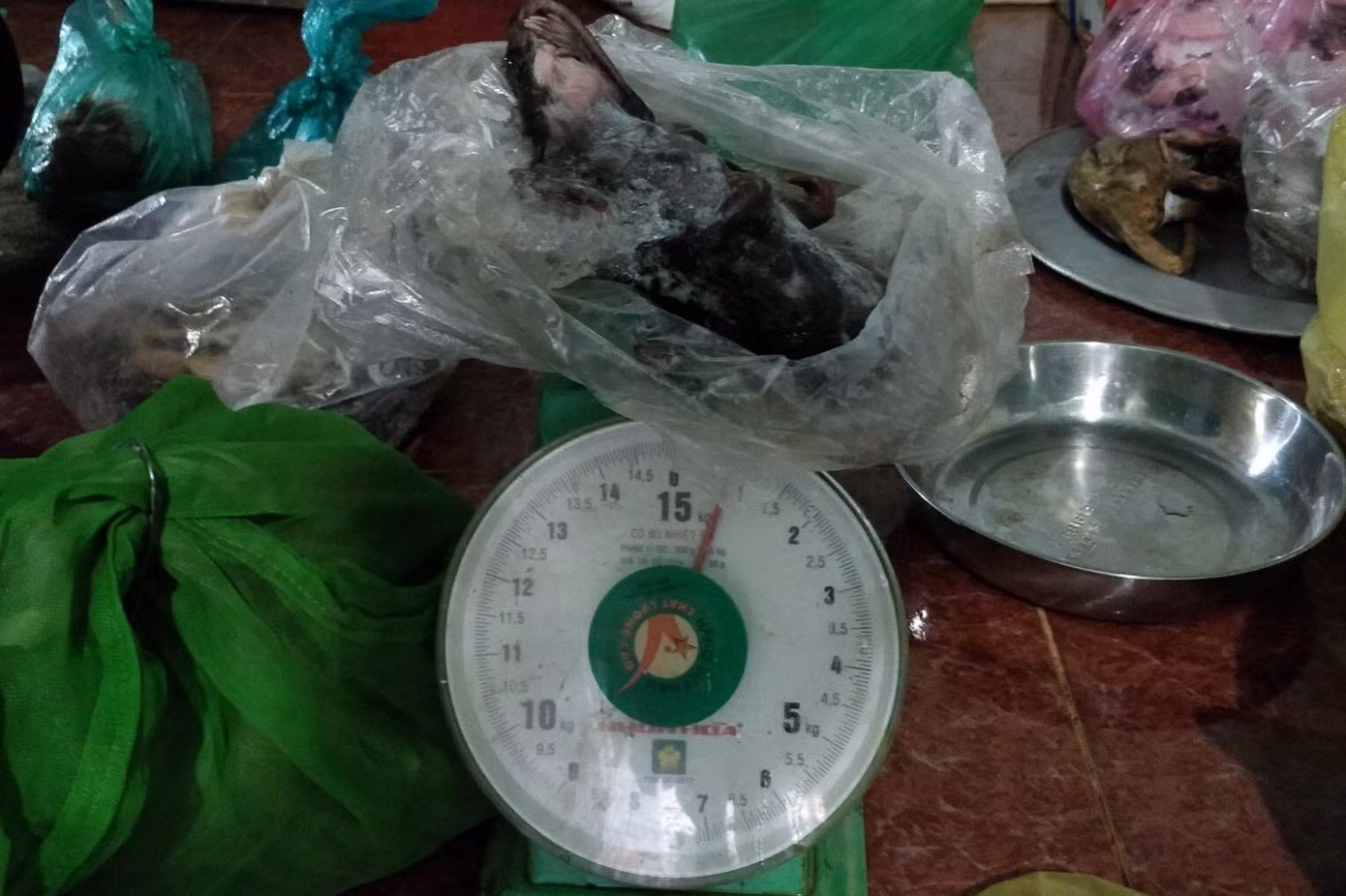 Khởi tố 1 phụ nữ buôn bán động vật hoang dã ảnh 1