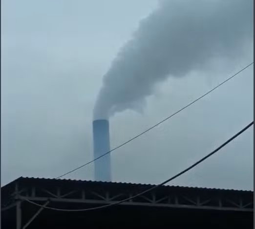 'Ngạt thở' vì cơ sở chế biến cà phê đặt giữa khu dân cư ảnh 2