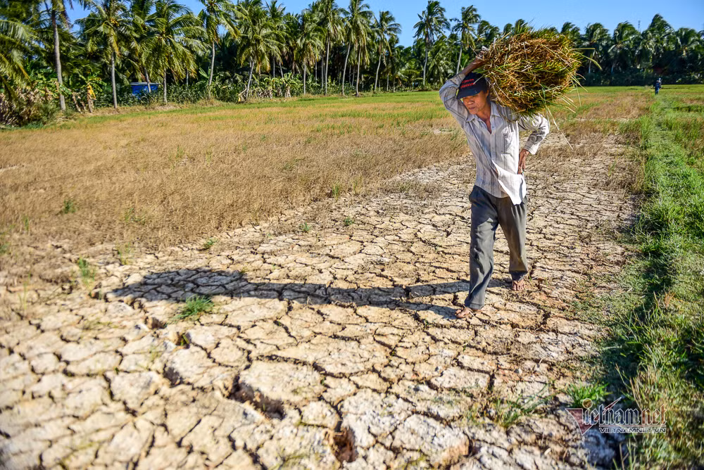 Thủ tướng: Không để người dân thiếu nước sinh hoạt trước nguy cơ hạn mặn nghiêm trọng ảnh 1