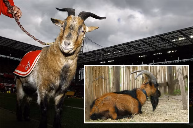 HLV Lampard 'ra tay', Chelsea thanh lý liền 7 ngôi sao ảnh 2