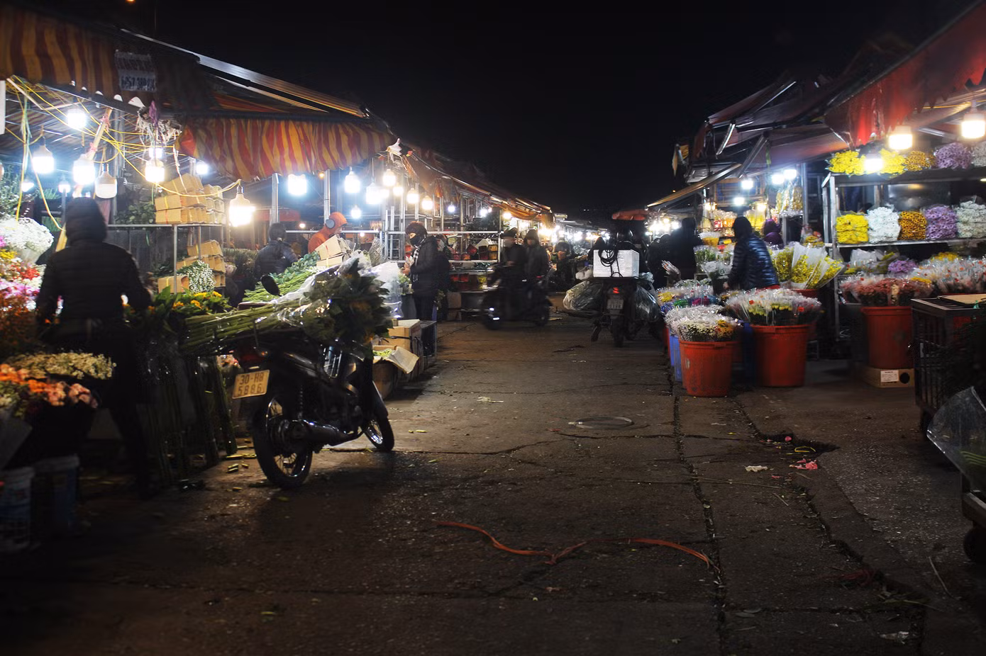 Nhọc nhằn mưu sinh trong giá lạnh ở chợ hoa lớn nhất Thủ đô ảnh 6