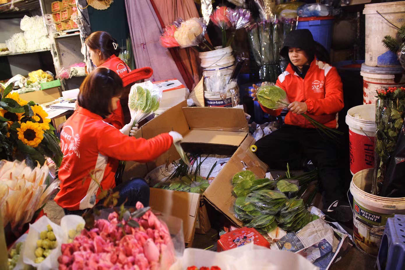 Nhọc nhằn mưu sinh trong giá lạnh ở chợ hoa lớn nhất Thủ đô ảnh 9