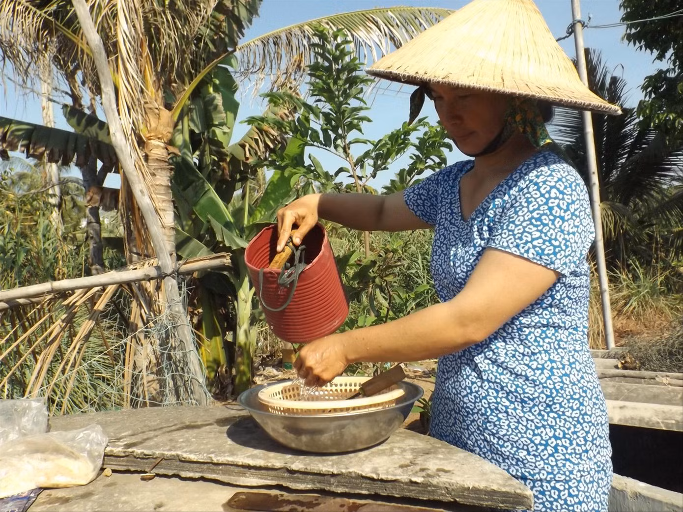 Hoa, cây kiểng phập phồng, lo mất Tết ảnh 1