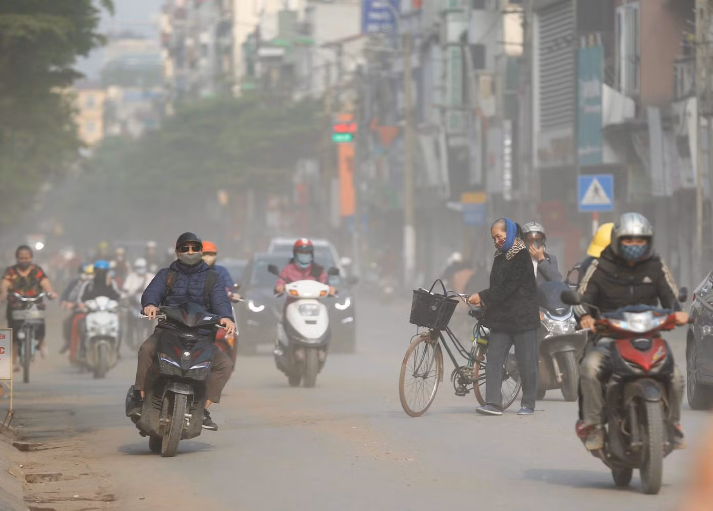 1001 thắc mắc: Loài động vật nào sống cả 1.000 năm? ảnh 9