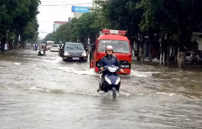 Sư tử “liều mạng” tấn công hà mã ảnh 4