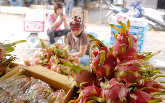 Sắp kết thúc 'tuần đen tối' của chứng khoán Việt ảnh 3 Sắp kết thúc 'tuần đen tối' của chứng khoán Việt ảnh 3
