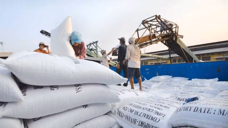 Lo nguồn cung gạo dịp COVID-19, cấp bách bảo vệ 1,1 triệu ha lúa Đông Xuân ảnh 4