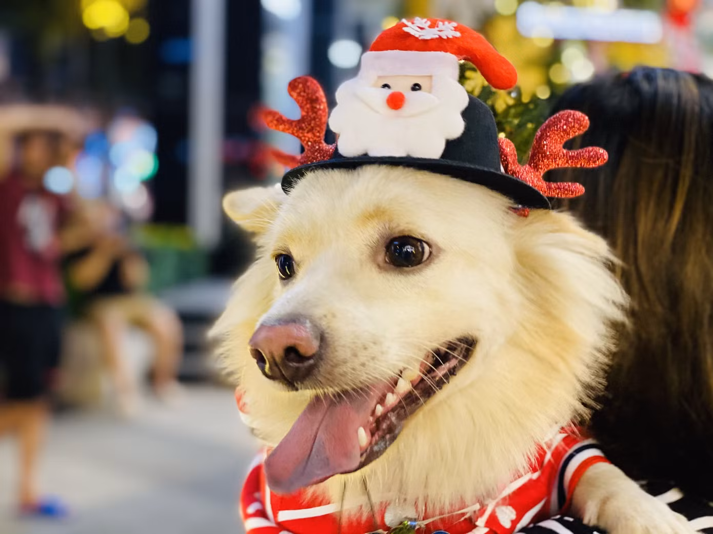 Người dân TPHCM rộn ràng đi chơi Noel sớm ảnh 7