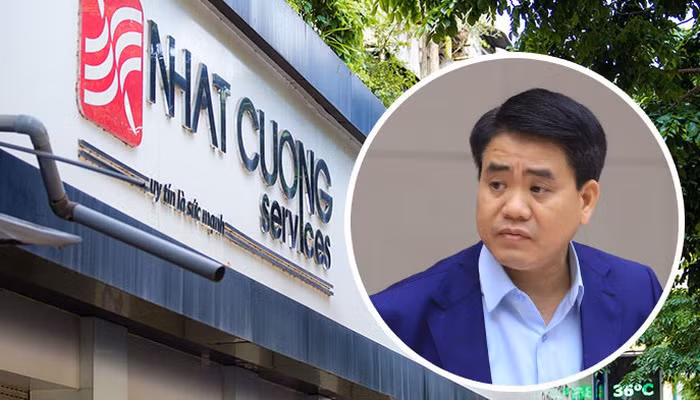 Bắt 3 lâm tặc triệt hạ rừng bạch tùng hàng trăm năm tuổi ảnh 8
