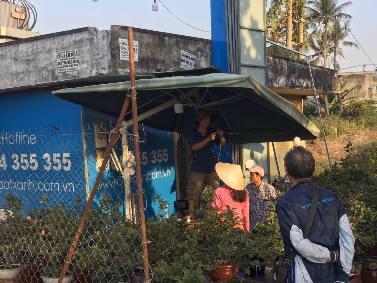 Mai vàng, hoa Tết nhộn nhịp xuống phố ảnh 4