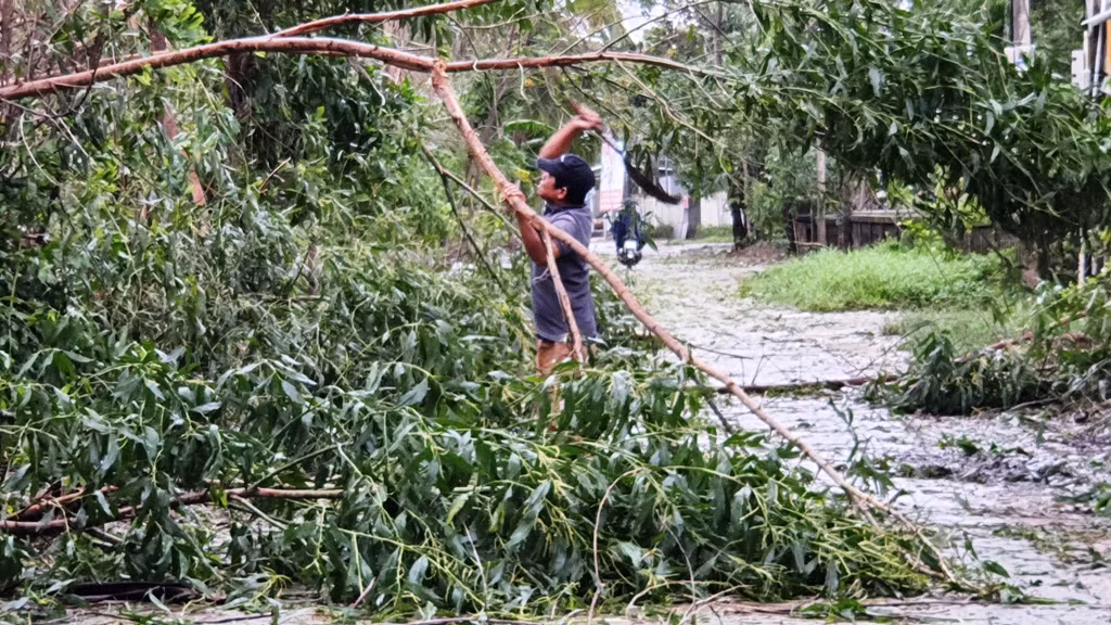 Bão số 13 quần thảo TT-Huế, nhà cửa tốc mái, cây cối gãy đổ ảnh 4