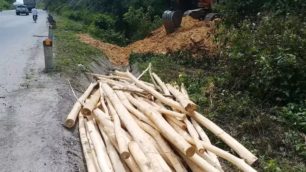 Đốn cây, phá núi mở đường cao tốc đe dọa người đi trên Quốc lộ 1 ảnh 13