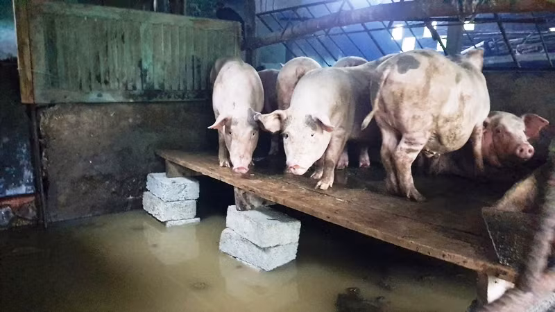32 người chết, mất tích do mưa lũ ở miền Trung ảnh 3