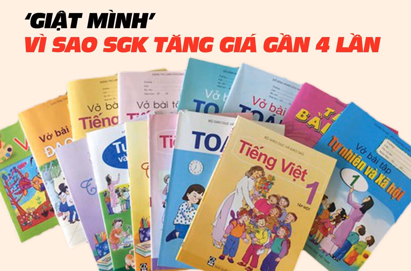 Đừng để “triệt tiêu” chủ trương xã hội hóa biên soạn SGK ảnh 2