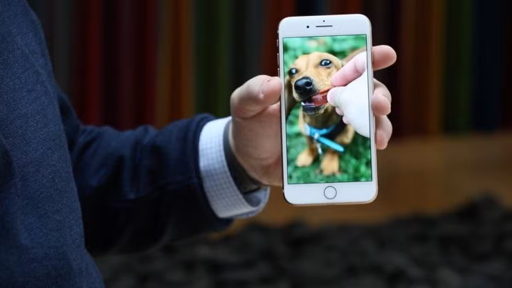 Apple dùng camera trên iPhone mới để che giấu sự nhạt nhẽo của mình ảnh 7