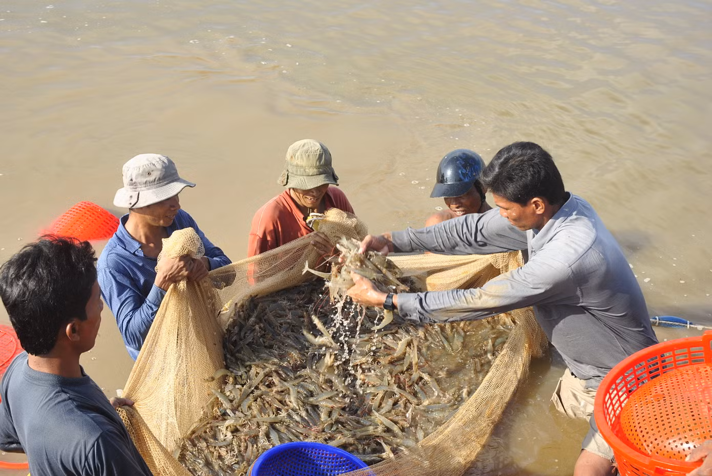 Cơ hội cho ngành thủy sản Việt Nam từ hiệp định EVFTA ảnh 1