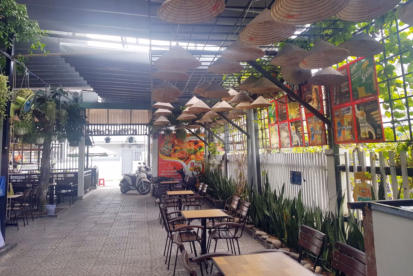 Tây Đô thưa vắng ngày đầu năm ảnh 15