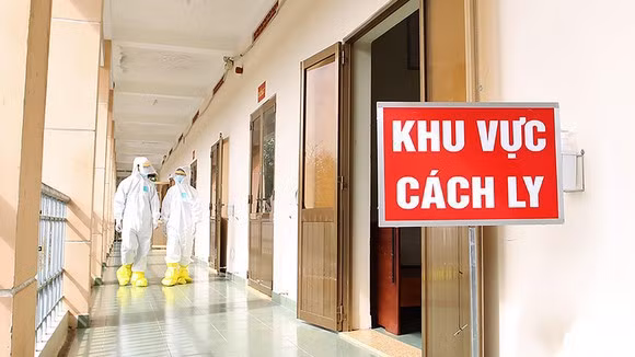 Ăn gừng có thể chống lại một số bệnh ảnh 4