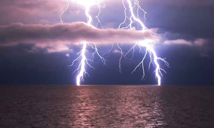 1001 thắc mắc: Chim cánh cụt phát ra âm thanh dưới nước khi chúng săn mồi? ảnh 2