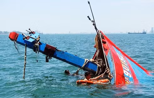 Đà Nẵng công nhận điểm du lịch Nhà Trưng bày Hoàng Sa ảnh 2