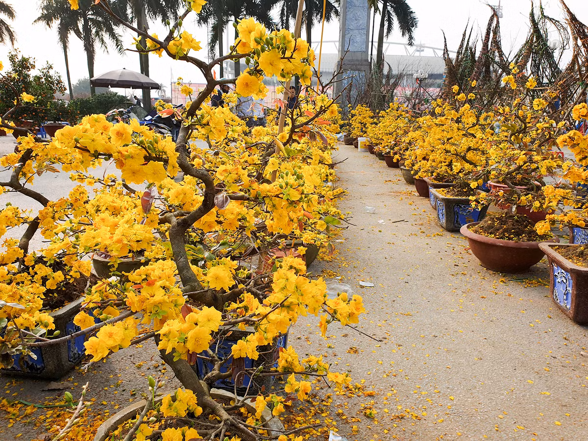 Công bố nghiên cứu khoa học nghề nuôi hàu lạ lùng ‘đầu độc’ đầm nước danh thắng Lăng Cô ảnh 7