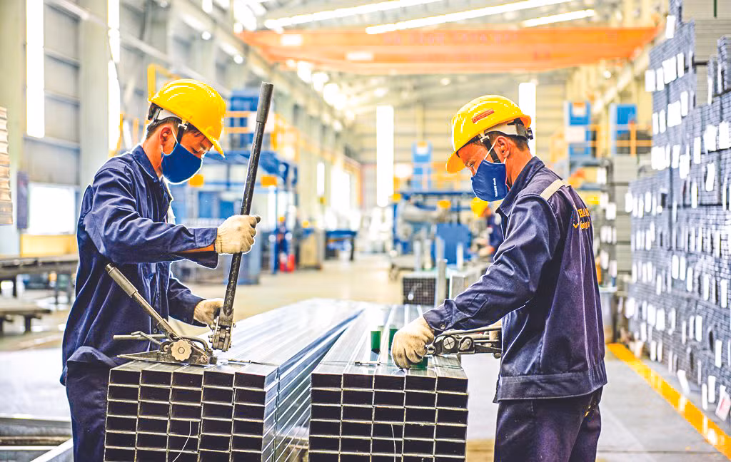 Cộng hưởng sức mạnh vì phồn vinh đất nước ảnh 2