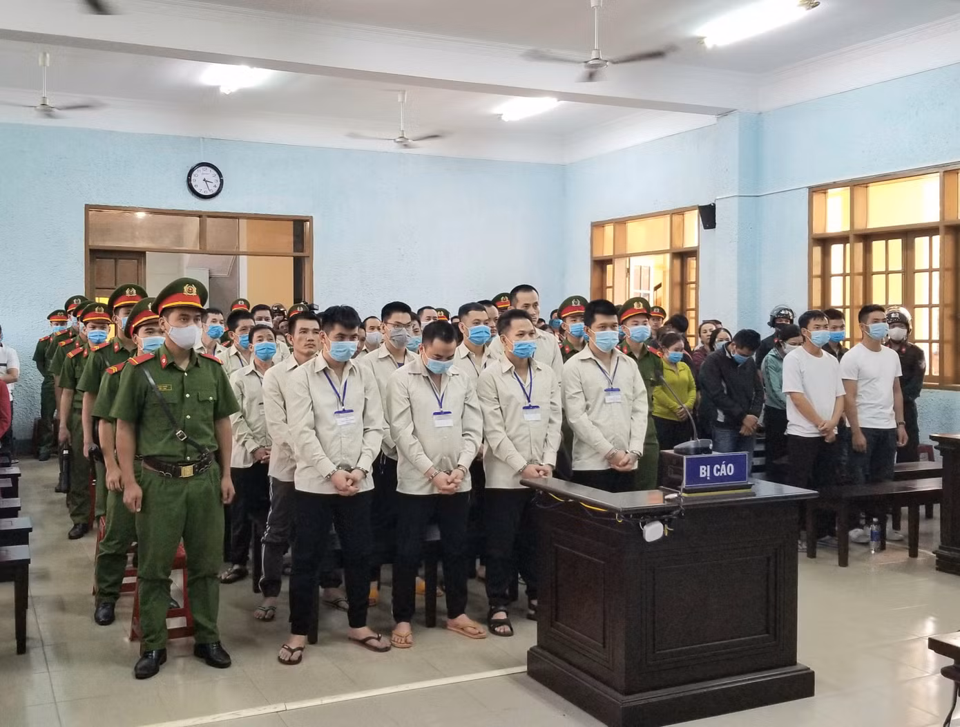 Bắt 3 lâm tặc triệt hạ rừng bạch tùng hàng trăm năm tuổi ảnh 4