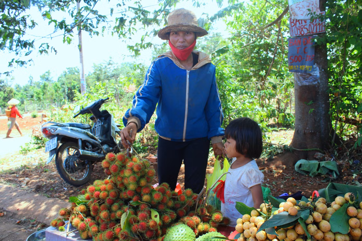 Độc lạ các loại trái cây rừng tràn xuống phố ảnh 6