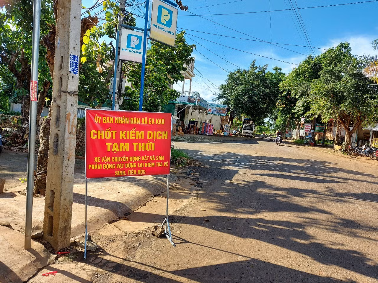  Vừa hết cách ly COVID, Buôn Ma Thuột lại công bố dịch cúm H5N6 ảnh 1