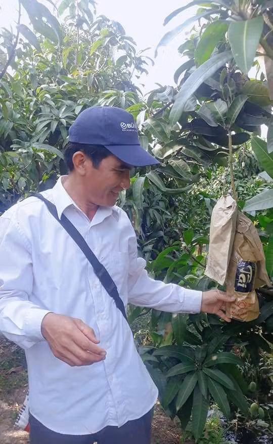 Trái cây tạo hình khan hiếm hàng phục vụ thị trường Tết ảnh 11