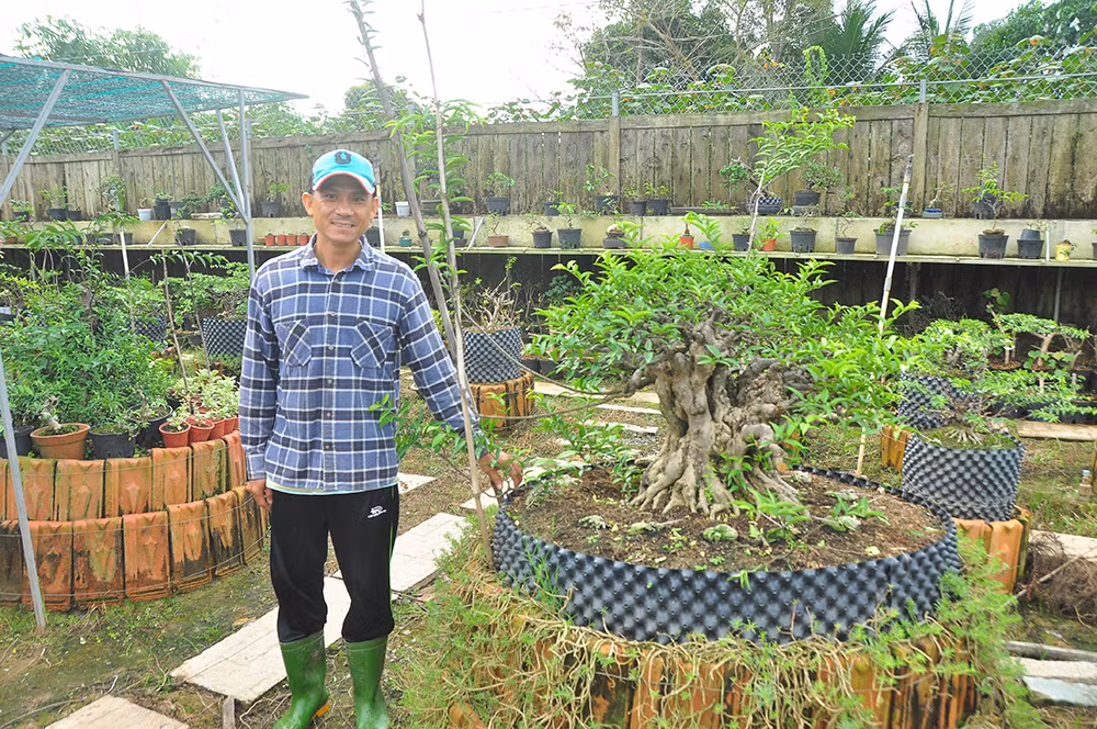 'Choáng ngợp' vườn bonsai 'khủng' ở Đồng Tháp ảnh 1