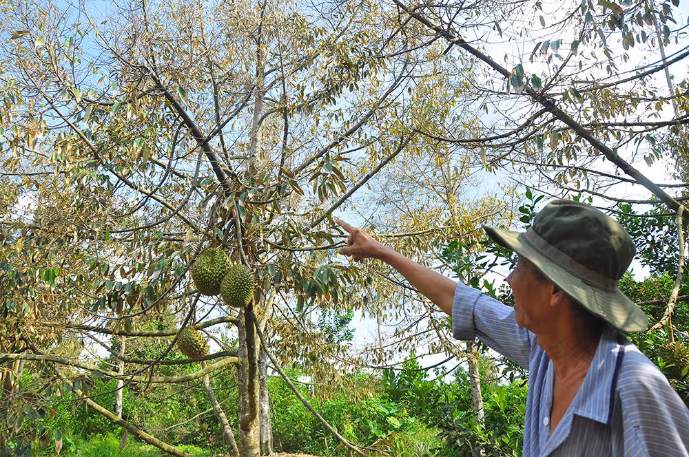 Thủ tướng: Không để người dân thiếu nước sinh hoạt trước nguy cơ hạn mặn nghiêm trọng ảnh 3