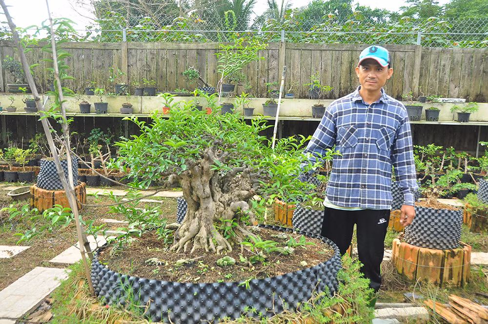 'Choáng ngợp' vườn bonsai 'khủng' ở Đồng Tháp ảnh 6