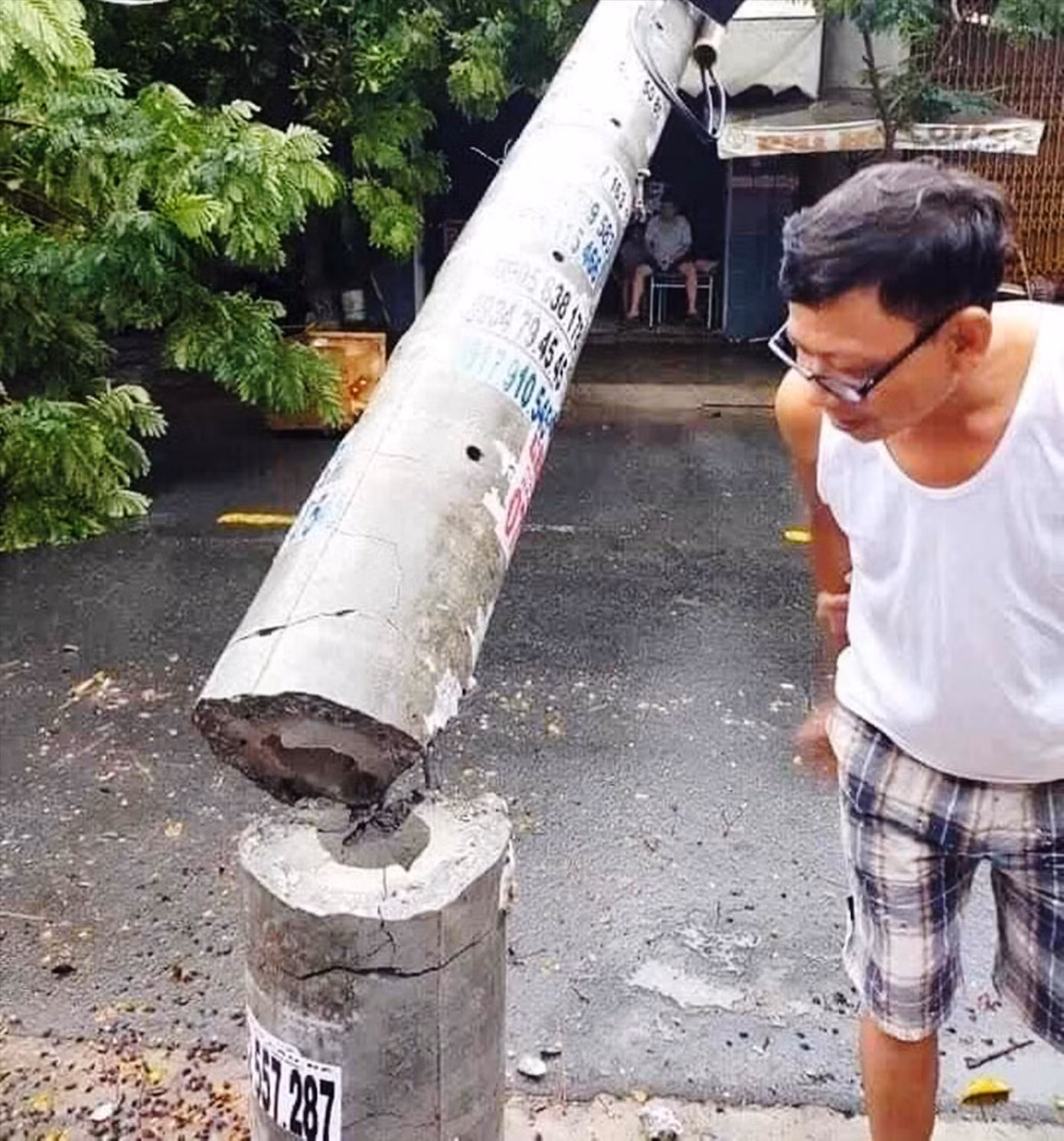 Hơn 400 cột điện gãy đổ trong bão số 5: Có bình thường? ảnh 1