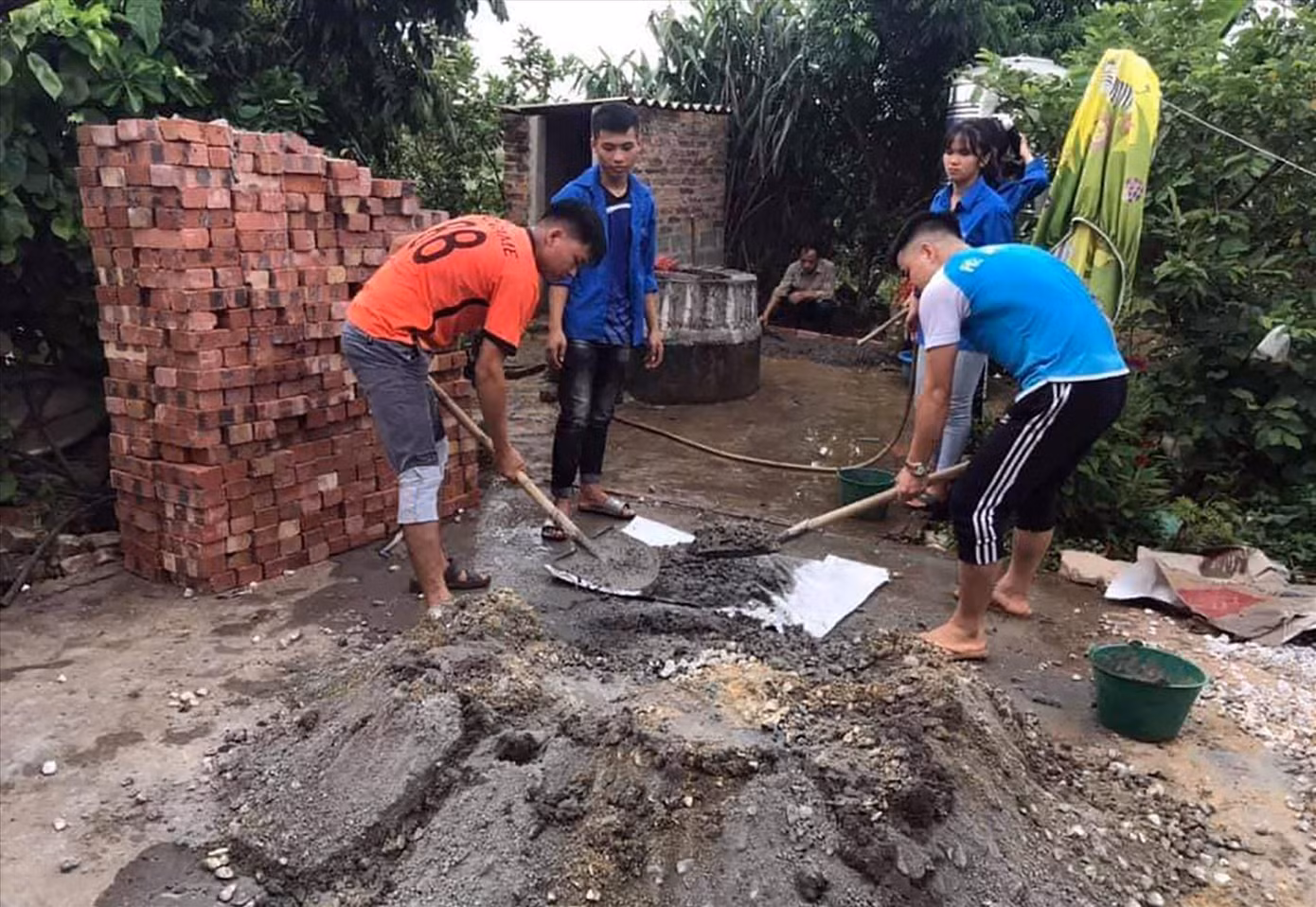 T.Ư Đoàn phát động hành trình tái sinh hạt thực vật, rau quả ảnh 2 T.Ư Đoàn phát động hành trình tái sinh hạt thực vật, rau quả ảnh 2