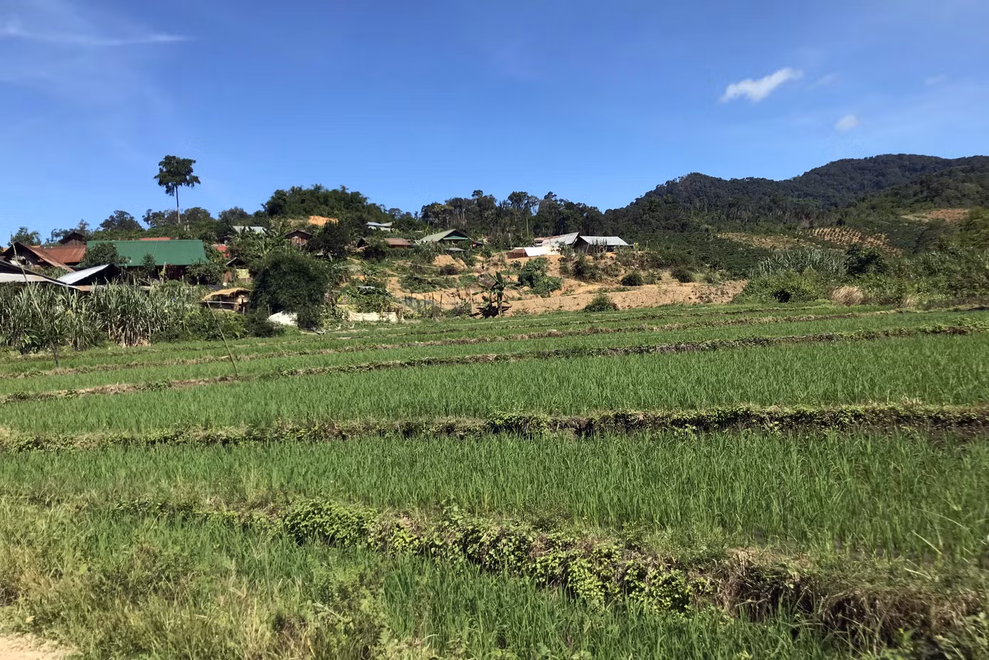Những cư dân 'vô thừa nhận' ảnh 1