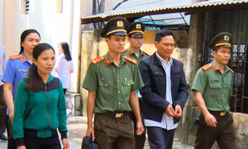 Bắt 3 lâm tặc triệt hạ rừng bạch tùng hàng trăm năm tuổi ảnh 6