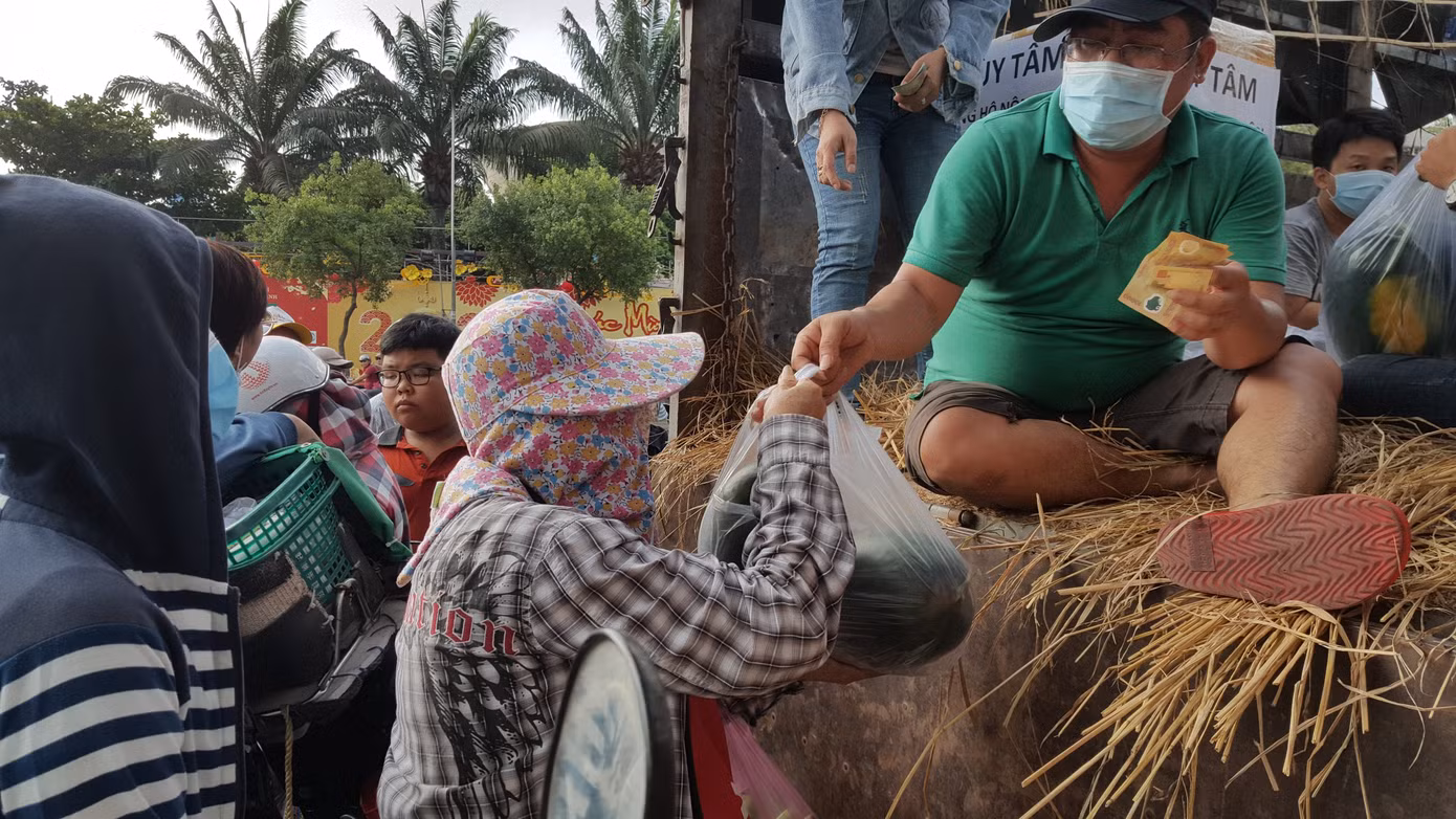 Bạn trẻ mua 27 tấn dưa hấu mang về phát miễn phí ảnh 2