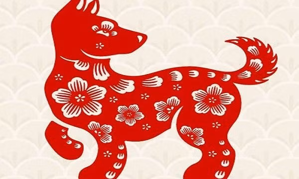 Mực nước sông Mekong giảm đáng lo ngại ảnh 3