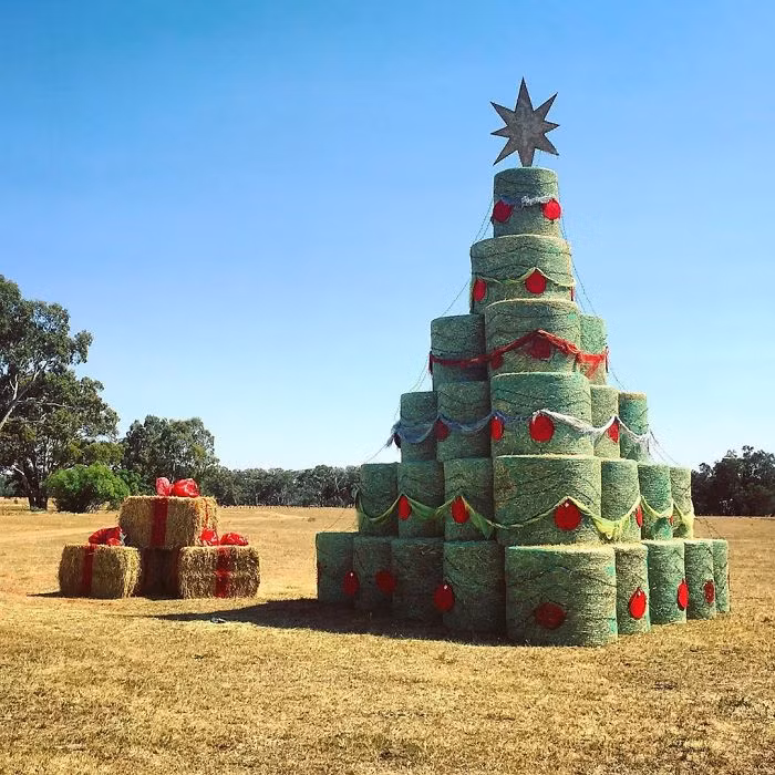 Thích mê những cây thông Noel 'có một không hai' của dân mạng ảnh 9